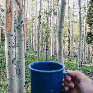 Morning coffee & views