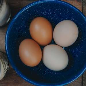 Eggs available for purchase