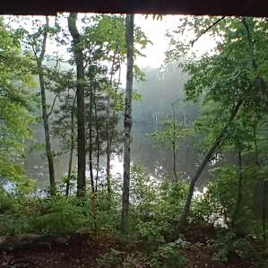 Dockside Bluff