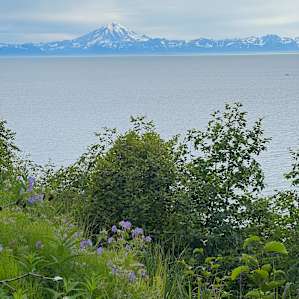 Magical Camping Ocean&Volcano View