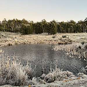 Cradle Mountain Fishery - Powered