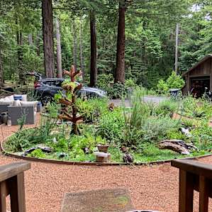 A Tiny Peace of Paradise
