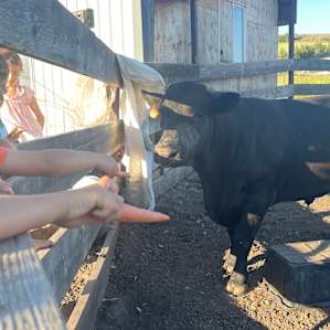 Bellamy family farm