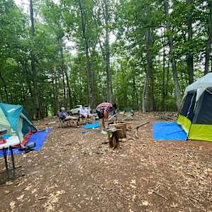 Tent Camping in the majestic trees
