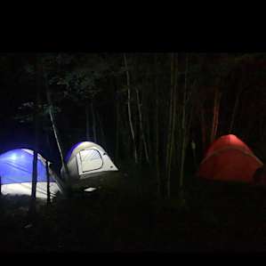 Camp David Site #7