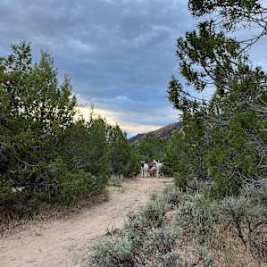 path from teepee back to the main area/entrance