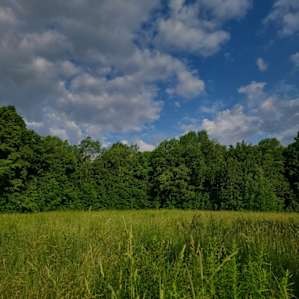 Private Meadows and Woods