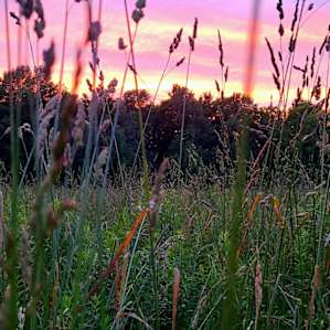 Best sunset of the summer to date! Canada Day 2022