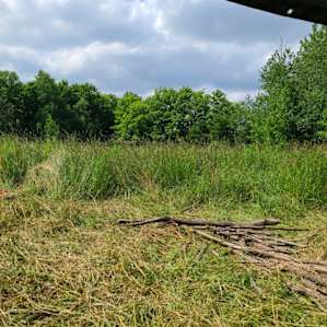 Escaping the sun, enjoying the peaceful meadow