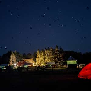The stars were amazing!