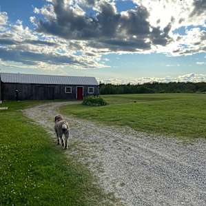Blueberry Hill Field Camp Sites