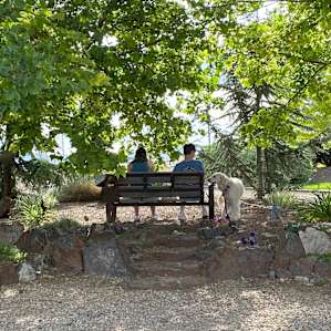 Relaxing reading area
