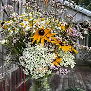 Flowers from the property that the host left for us.