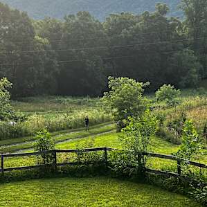 View from the porch.