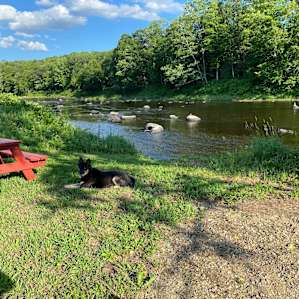 View from campsite