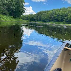 Canoeing the river