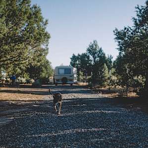 Black Burro Ranch