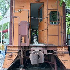 The little one got a little scared of climbing down the train steps
