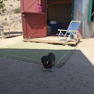 Thumbs up from Bullet