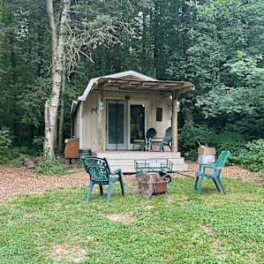 Conifer Cabin in the Woods
