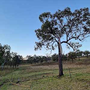Monal Park Farm Retreat