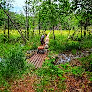 Camp Escape: The Island