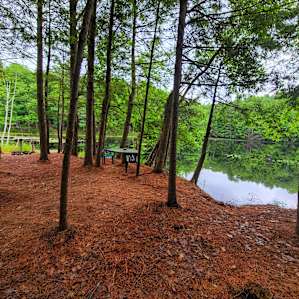 Camp Escape: The Island