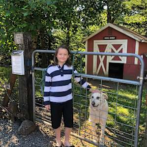 Petting the kind ol dog was great for my grandson who was missing his own pup who stayed home this trip