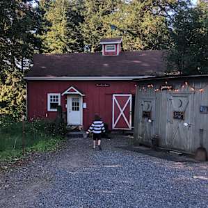 Heading to the hayloft after dinner