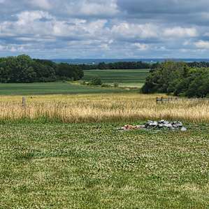 View from the site.