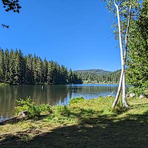 White Pine Lake nearby - picnic tables, beaches, not the cleanest though
