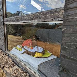Guest Cabin