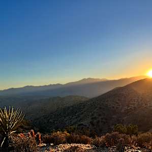 Desert Views