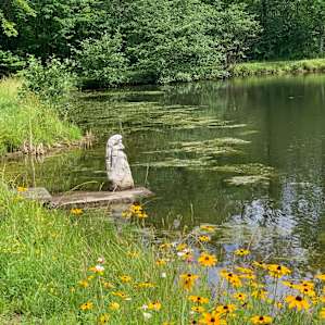 Tent camping next to private pond