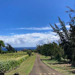 Mana Tent - Haven at Hawi Nani