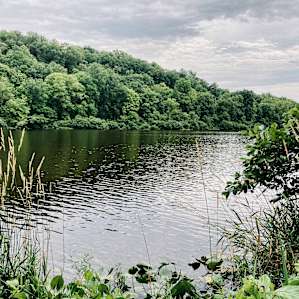 Arcadian Oasis