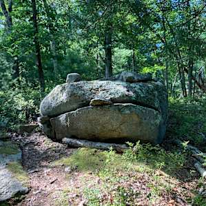 Doesn’t this rock resemble a frog? At camp Frogmore!