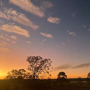 Berrima Mid and Top Camp