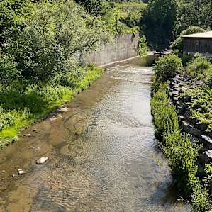 Standing on the 1 lane bridge looking right of the property.