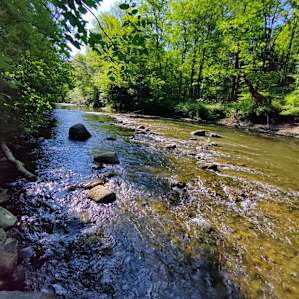 Brookhollow Riverfront Campsite