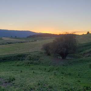 Bellamy family farm