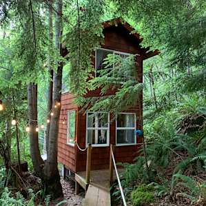 Treehouse Place at Deer Ridge!
