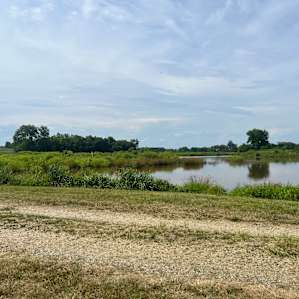 Bald Eagle Farm on the Patuxent