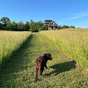 Slateville Retreat ~ Tower & Cabin