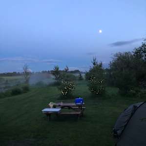 Elk Island Getaway