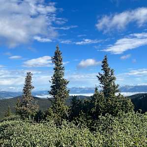 Cumberland High Alpine Campsites!