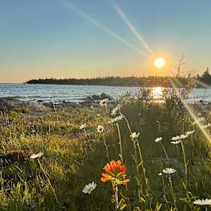 Uksa's Cove