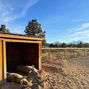 Tiny House on Farm Sanctuary