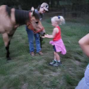 Opulent Acres Glamping