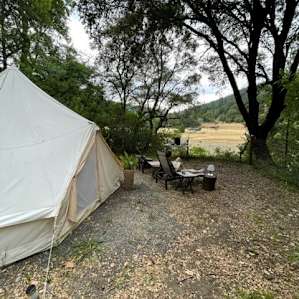 Blue Bell Dream Tent